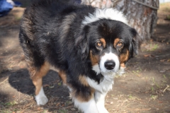 daveGavinMemorial2018_ - 25